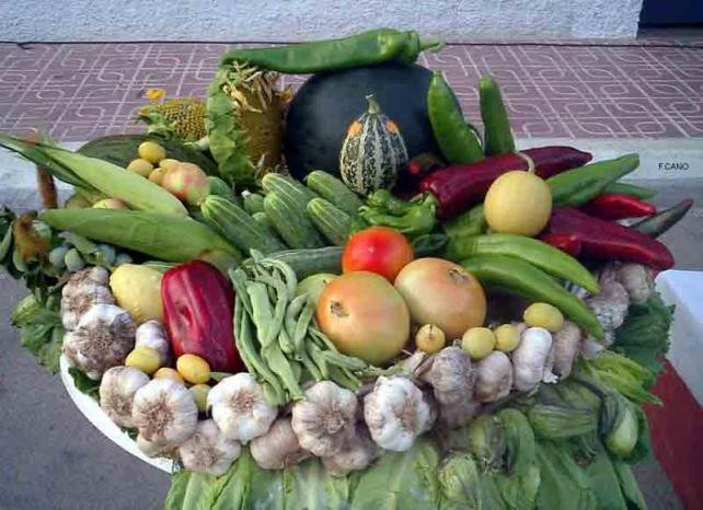 Productos de la huerta