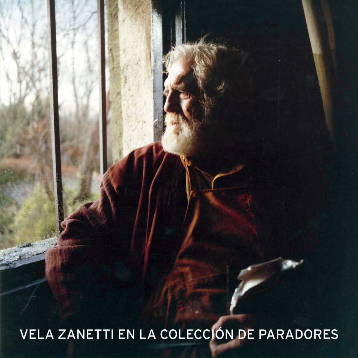 Vela zanetti