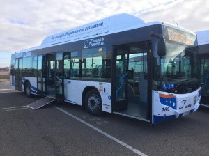 Autobus