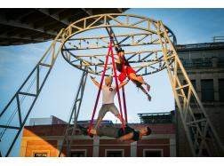 19 alas circo