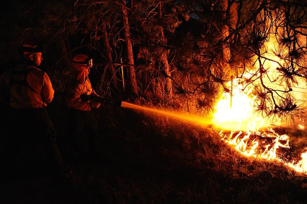Incendio forestal